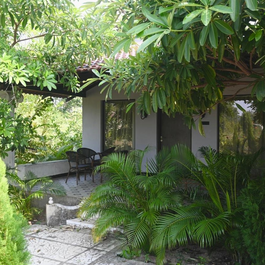 pench resort-tuli orchid