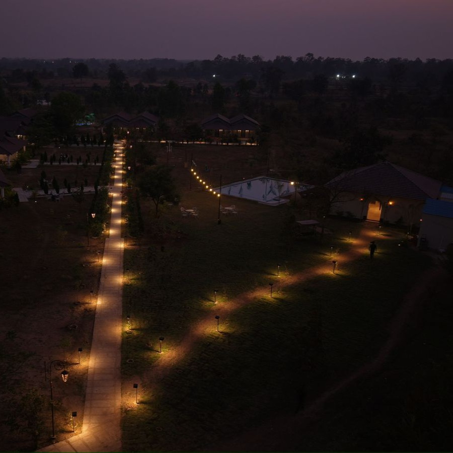 Pench resort tuli orchid at night
